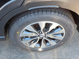 Used 2025 Subaru Outback Limited image 2