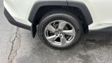 Used 2019 Toyota RAV4 Limited image 4