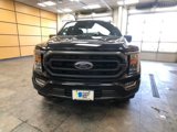 Certified 2023 Ford F150 XLT w/ Equipment Group 302A High image 2