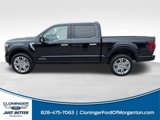New 2025 Ford F150 Platinum w/ Equipment Group 703A Plus image 5