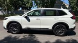 New 2026 Honda CR-V EX-L image 4