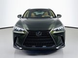New 2025 Lexus NX 300h AWD w/ Luxury Package image 2