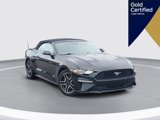 Certified 2023 Ford Mustang Premium image 1