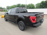 Used 2022 Ford F150 XLT w/ Equipment Group 302A High image 3