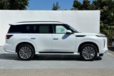 New 2025 INFINITI QX80 Sensory image 4