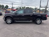 Used 2019 Ford F150 XLT w/ Equipment Group 302A Luxury image 5