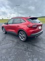 New 2025 Ford Escape ST-Line w/ Tech Pack #1 image 3