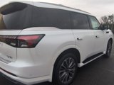 New 2025 INFINITI QX80 Luxe w/ Exterior Package image 4