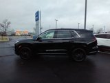 New 2025 Hyundai Palisade Calligraphy image 5