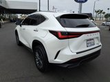 Used 2025 Lexus NX 350 AWD w/ Premium Package image 5