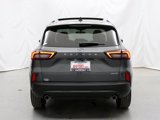 Used 2025 Ford Escape ST-Line w/ Tech Pack #1 image 6