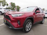 New 2025 Toyota RAV4 XLE Premium image 3