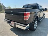 Used 2014 Ford F150 King Ranch w/ King Ranch Luxury Package image 5