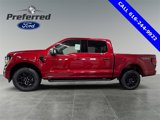 New 2025 Ford F150 XLT w/ Equipment Group 302A MID image 2