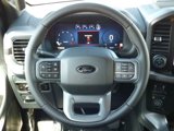 New 2025 Ford F150 XLT w/ Equipment Group 302A MID image 4