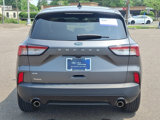 Certified 2022 Ford Escape SE w/ SE Sport Appearance Package image 5