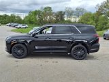 New 2025 Hyundai Palisade Calligraphy image 3