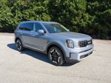 New 2025 Kia Telluride EX image 5