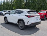 New 2026 Lexus NX 350 AWD w/ Premium Package image 4