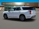 New 2025 Hyundai Palisade Calligraphy image 4