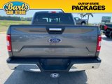 Used 2019 Ford F150 XLT w/ Equipment Group 302A Luxury image 5