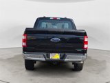 Used 2023 Ford F150 XL w/ Trailer Tow Package image 4