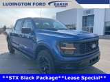 New 2025 Ford F150 STX w/ Equipment Group 201A FX4 image 5