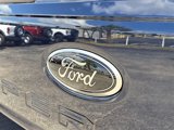 New 2025 Ford F250 4x4 Crew Cab Super Duty image 5
