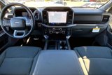 New 2025 Ford F150 XLT w/ Equipment Group 303A High image 5