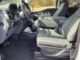 New 2025 Ford F150 XLT image 5