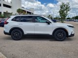 New 2026 Honda CR-V Sport-L image 4