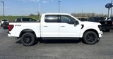 New 2025 Ford F150 XLT w/ Equipment Group 302A MID image 2