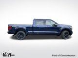 New 2025 Ford F150 Platinum image 2