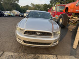 Used 2014 Ford Mustang Premium w/ Equipment Group 201A image 3