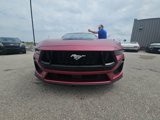 New 2025 Ford Mustang GT Premium image 2