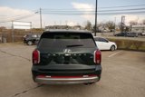 New 2025 Hyundai Palisade Calligraphy image 4