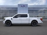 New 2025 Ford F150 XLT image 3