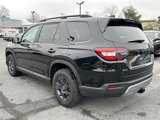 New 2025 Honda Pilot TrailSport image 3