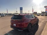 Certified 2022 Honda CR-V EX-L image 5