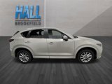 Certified 2025 MAZDA CX-5 AWD 2.5 S w/ Preferred Package image 6