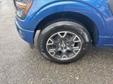 New 2025 Ford F150 STX w/ Equipment Group 200A image 3