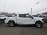 New 2025 Ford F150 XLT w/ Equipment Group 303A High image 4