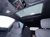 New 2025 Hyundai Palisade Calligraphy image 4