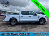 Used 2023 Ford F150 XL w/ STX Appearance Package image 2
