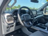 Certified 2023 Ford F150 XLT w/ Equipment Group 302A High image 6