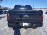 New 2025 Ford F150 XLT w/ Equipment Group 302A MID image 6