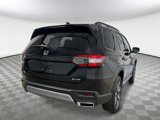 New 2025 Honda Pilot Elite image 4