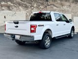 Used 2019 Ford F150 XLT w/ Equipment Group 302A Luxury image 6