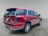 New 2025 Cadillac Escalade Premium Luxury Platinum image 5