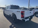 New 2025 Ford F250 XL image 5